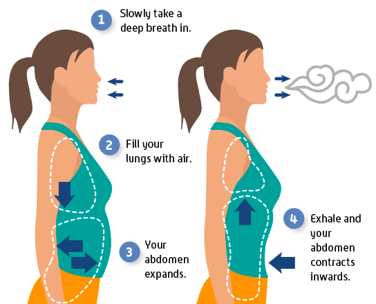 An infographic for abdomen breathing