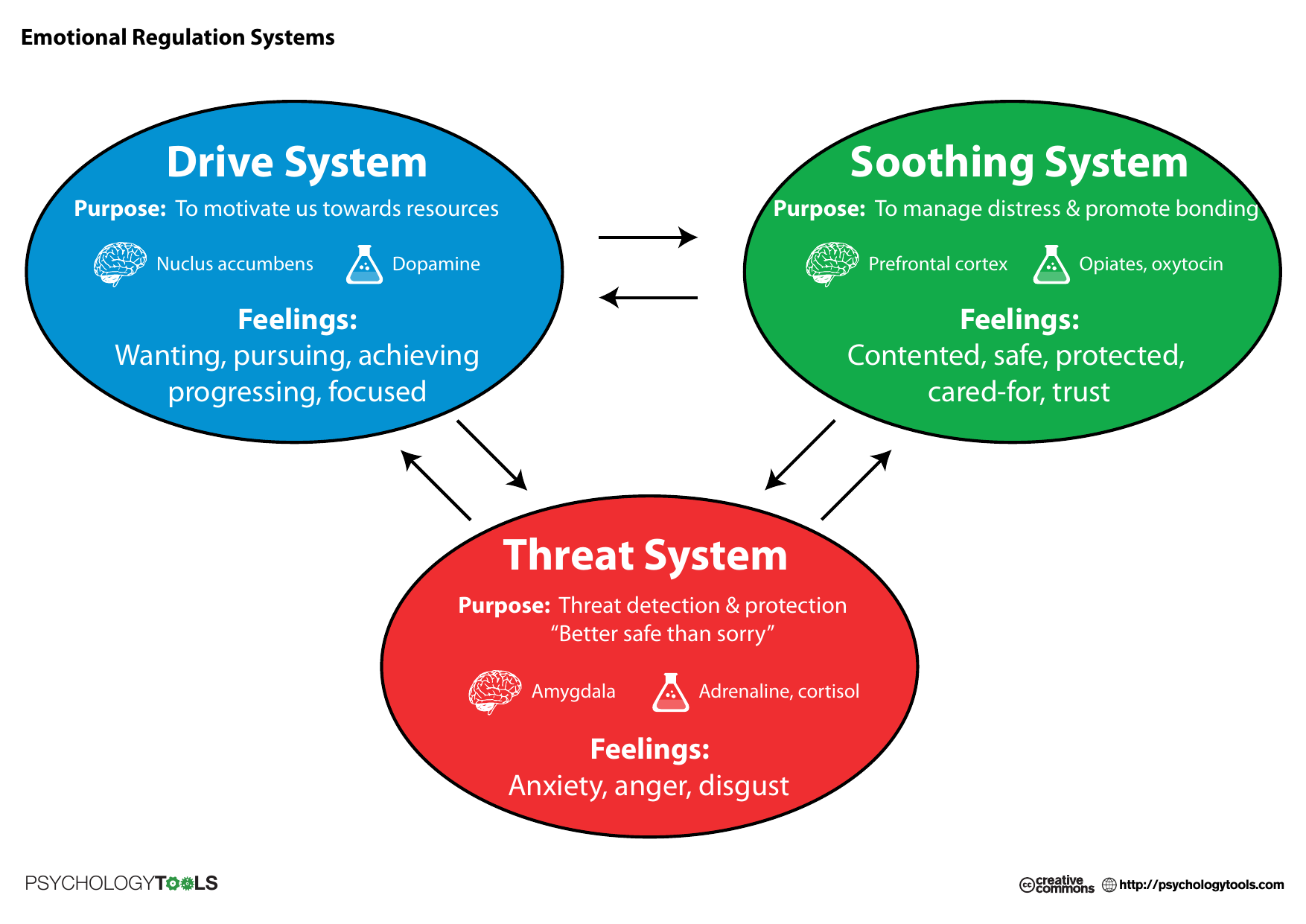 An infographic of Paul Gilbert's evolutionary model