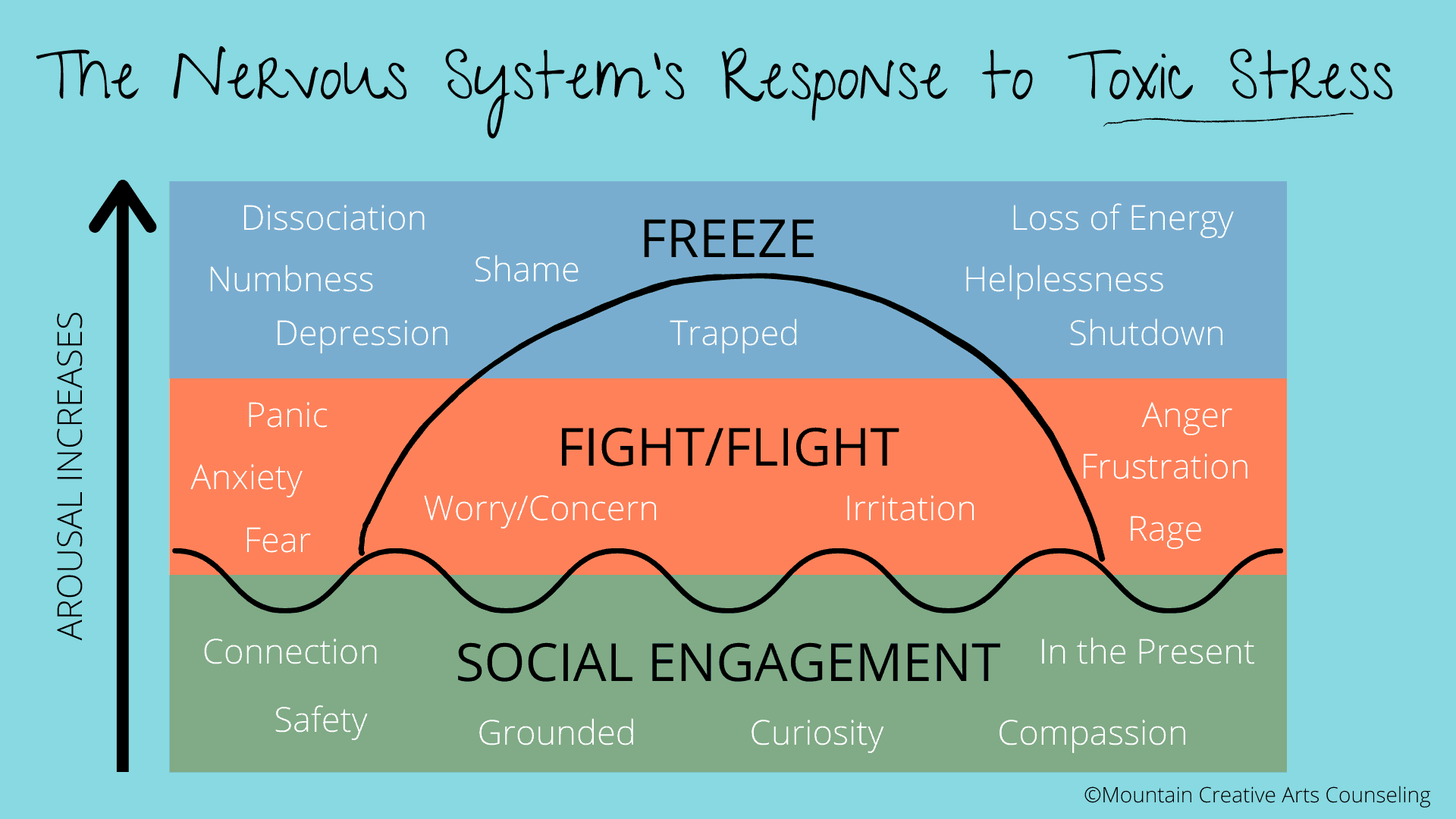An infographic of the nervous system response to toxic stress.